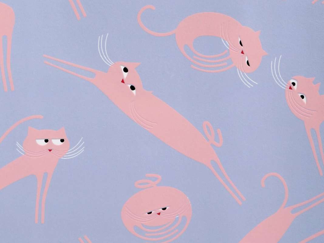 Zoom sur un lé de papier peint Cats rose et bleu, des chatons fou qui saute partout pour décorer votre salon, design IchetKar