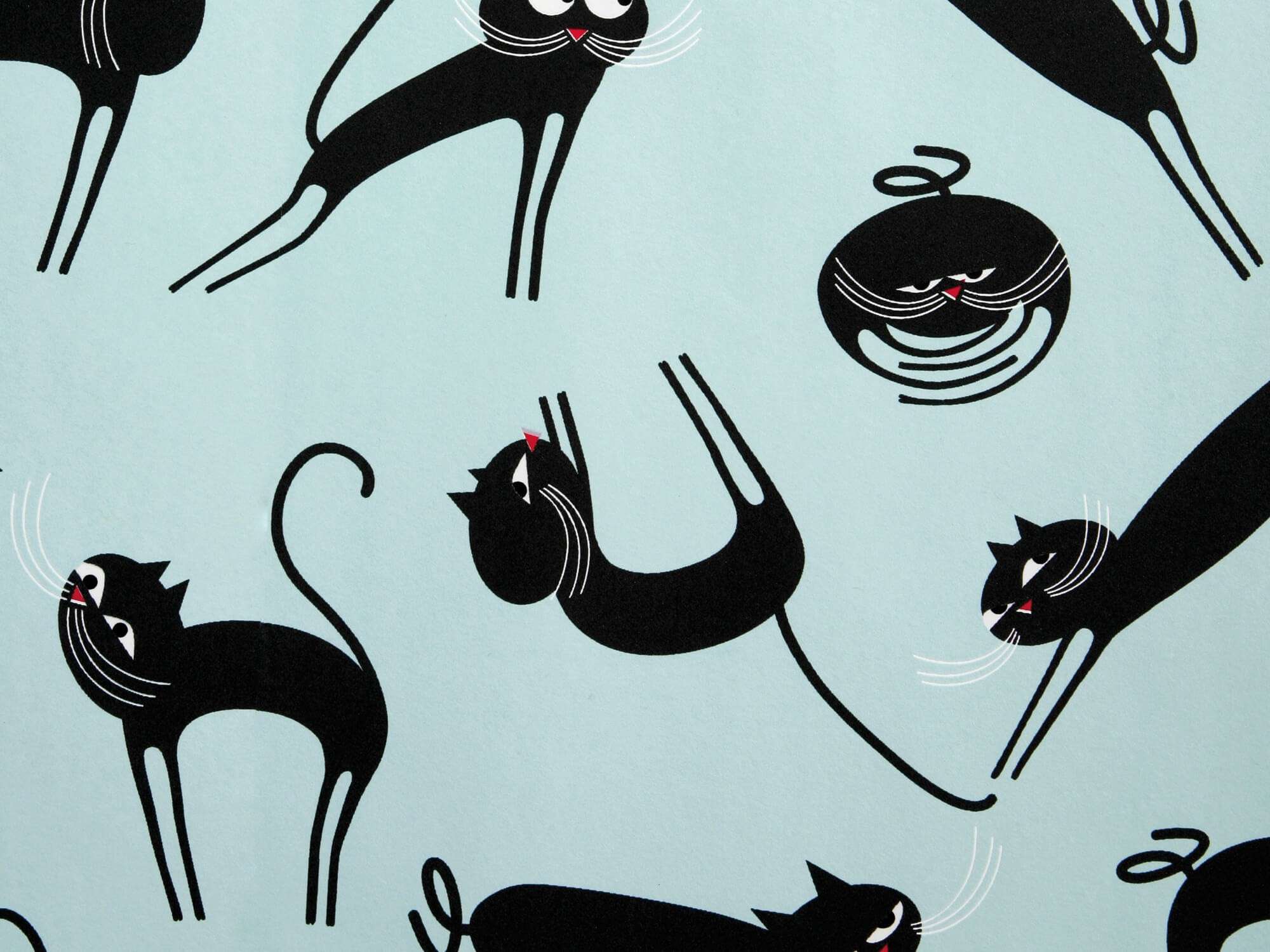 Zoom sur le Papier peint Cats noir et bleu phosphorescent, des chatons fou sur le mur, design IchetKar
