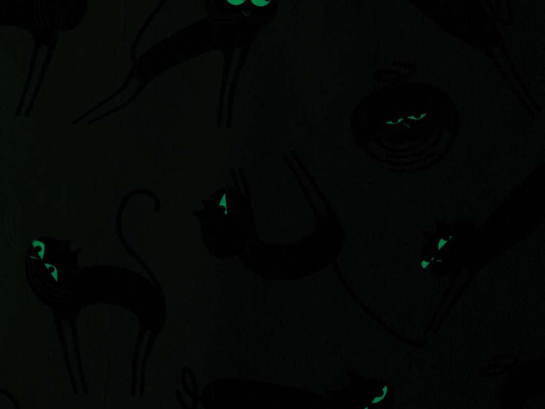 Lés de papier peint Cats phosphorescent, les yeux brillent la nuit et moustaches illuminent votre salon, design IchetKar