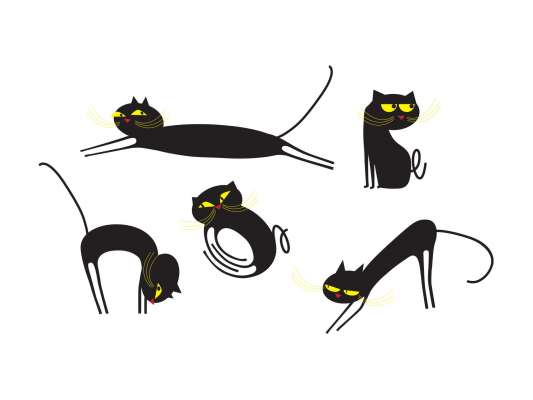 set de 5 chats à la personnalité de votre choix : joueur, méchant, sympa, inquiet.