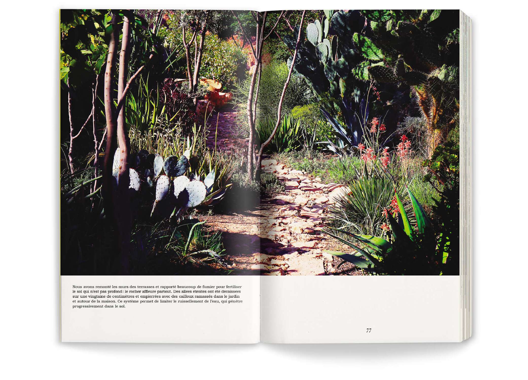double page photo du jardin Afra dans le livre Onze jardins d'aridité par Ossart + Maurières, éditions Pyramyd