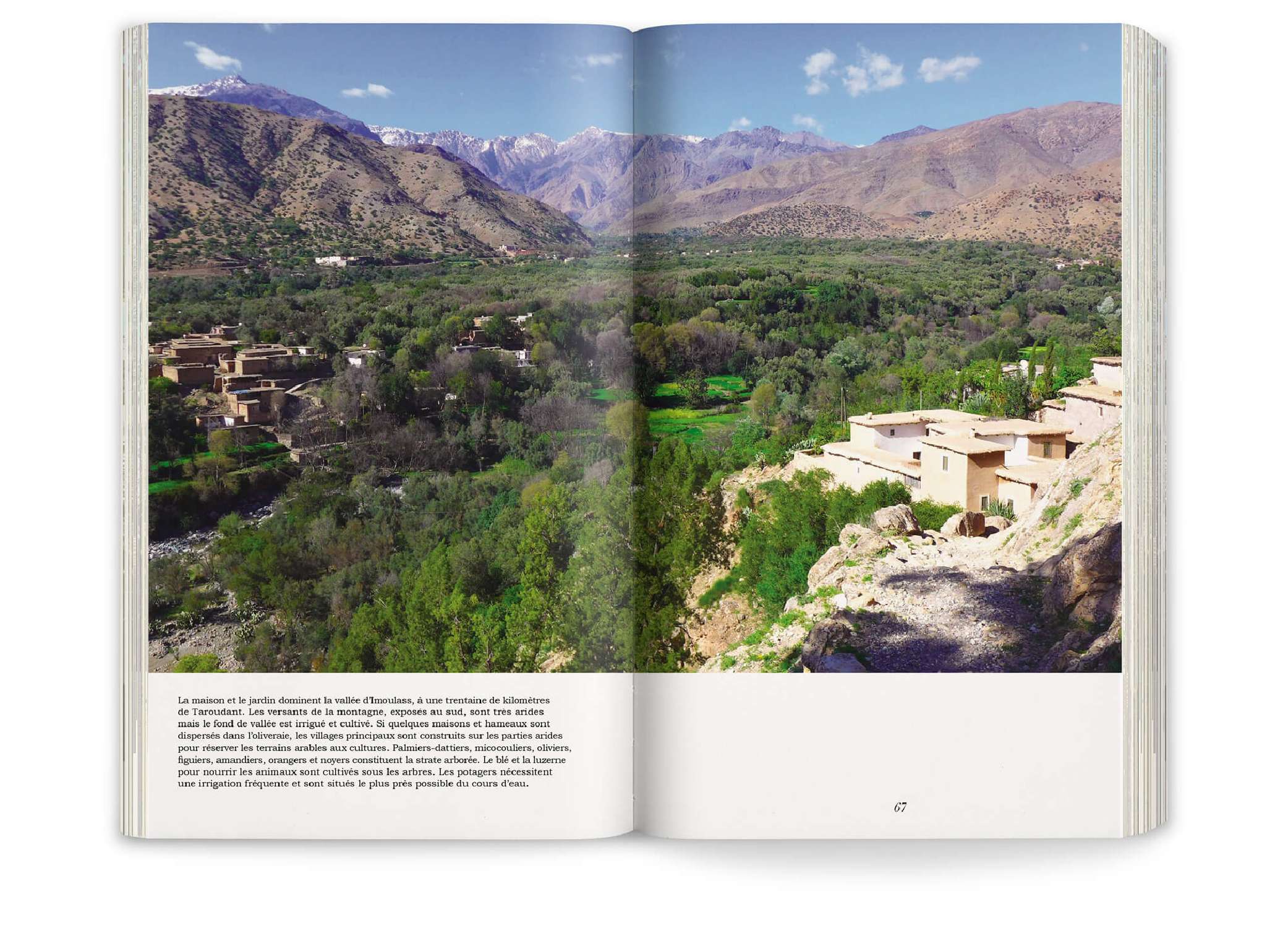 double page photo du jardin Afra dans le livre Onze jardins d'aridité par Ossart + Maurières, éditions Pyramyd